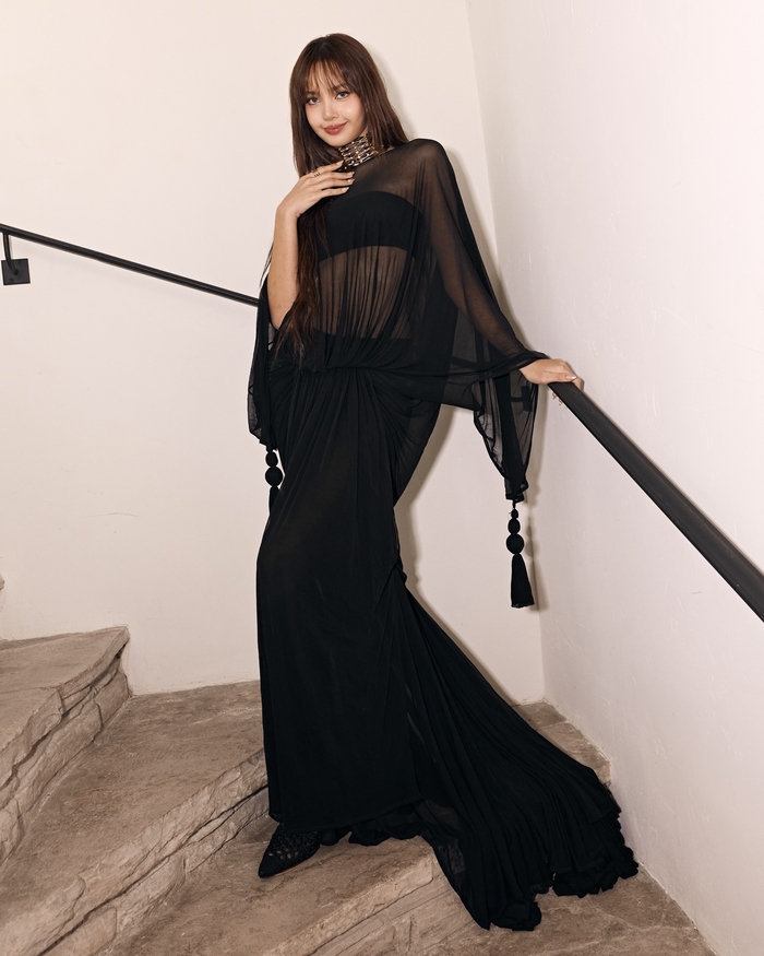 Lisa's Black Sheer Gown