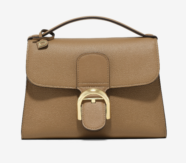 Delvaux Brillant Tempo S bag in a warm cinnamon hue, demonstrating its luxurious texture.