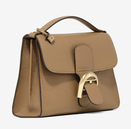 Kim Nayoung styling the Delvaux bag as a crossbody, showcasing its versatility.